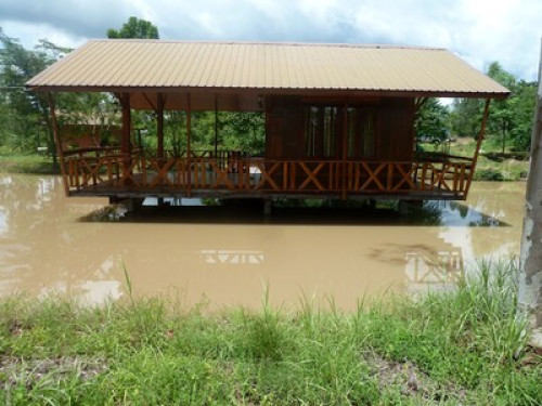 Experience The 'Real' Thailand! - Gallery - 7