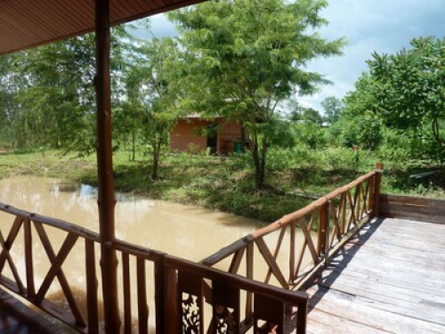 Experience The 'Real' Thailand! - Gallery - 6