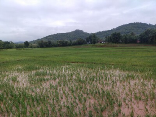 Malharbaug, your riverside solace - Gallery - 13