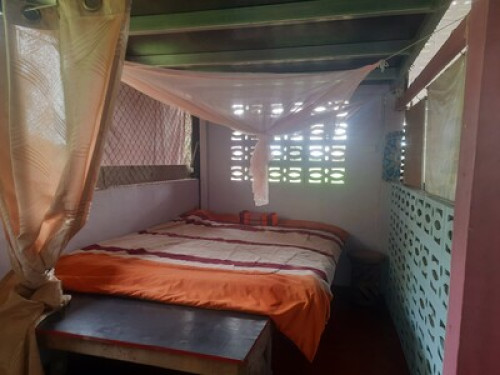 Experience authentic Thai farmstyle - Gallery - 8