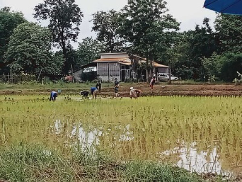 Experience authentic Thai farmstyle