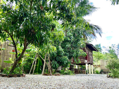 Dacha Homestay Lampang - Gallery - 14
