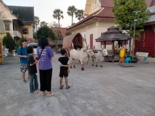 Dacha Homestay Lampang - Gallery - 6