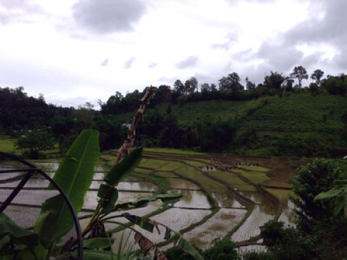 Karen community in the mountains  - Gallery - 6