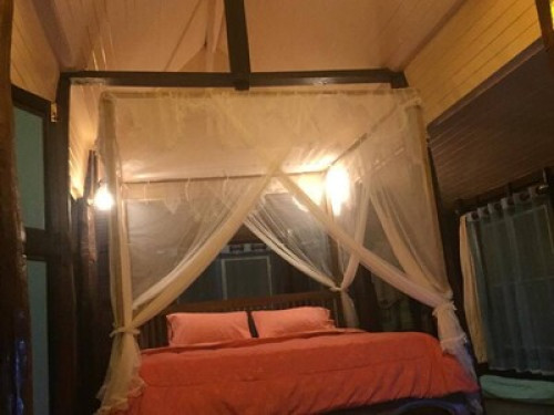 Warm ;calm and lovely atmosphere - Gallery - 2