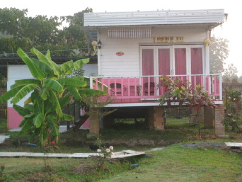 close to the nature - Gallery - 4