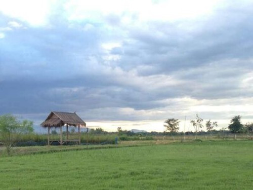 close to the nature - Gallery - 5