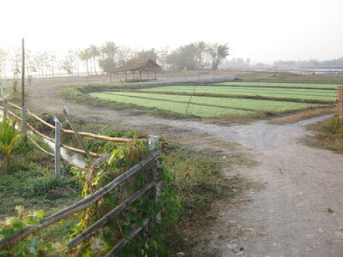 close to the nature - Gallery - 7