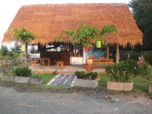 close to the nature - Gallery - 6
