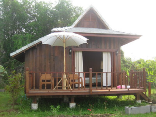 close to the nature - Gallery - 2