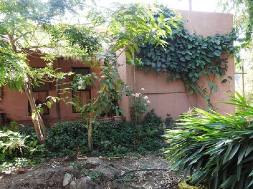 Eco-Hamlet - Gallery - 6