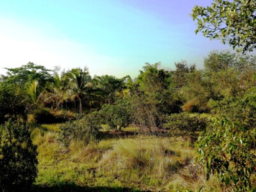 Eco-Hamlet - Gallery - 13