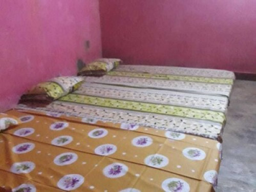 Satyendra Cottage! Bastar Homestays - Gallery - 3