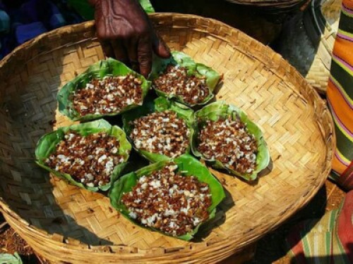 Satyendra Cottage! Bastar Homestays - Gallery - 6