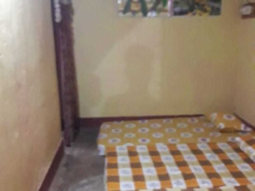 Satyendra Cottage! Bastar Homestays - Gallery - 2