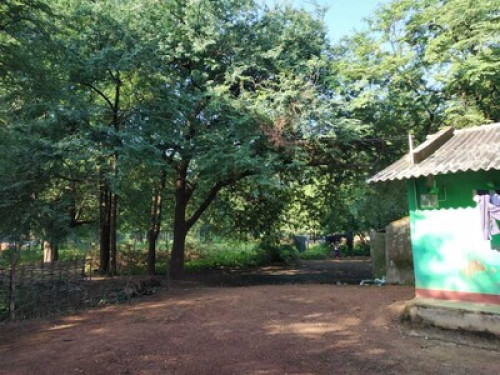 Satyendra Cottage! Bastar Homestays - Gallery - 13