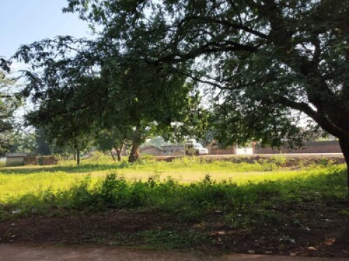 Satyendra Cottage! Bastar Homestays - Gallery - 18