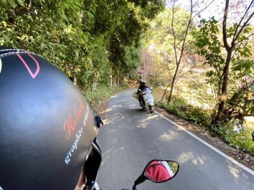 Chiang Mai, Thailand - Gallery - 9