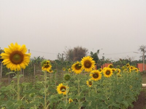 Phu Vara Private Villa - Gallery - 44