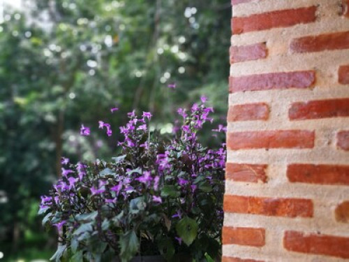 Phu Vara Private Villa - Gallery - 3