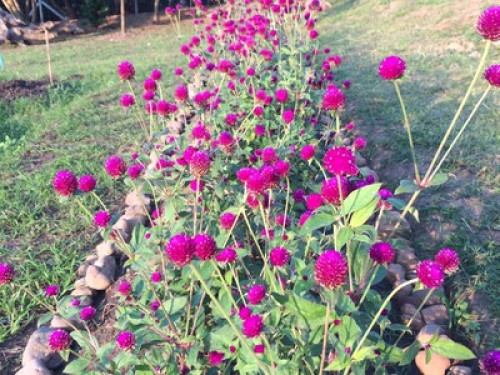 Phu Vara Private Villa - Gallery - 46