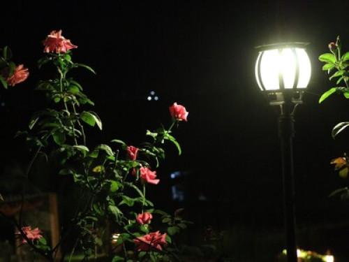 Phu Vara Private Villa - Gallery - 6