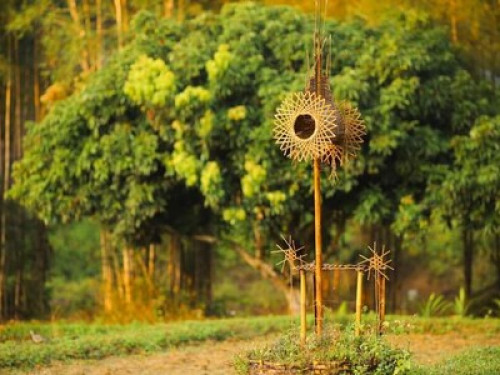 Aum Hum Homestay and Organic Farm - Gallery - 22