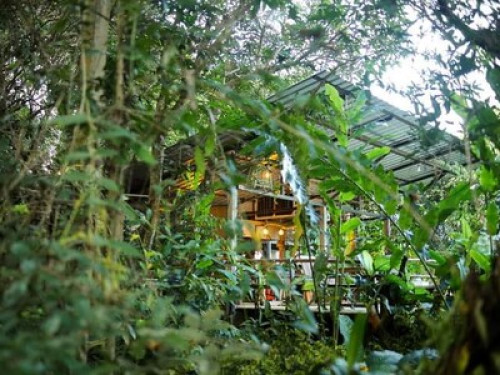 Aum Hum Homestay and Organic Farm - Gallery - 27