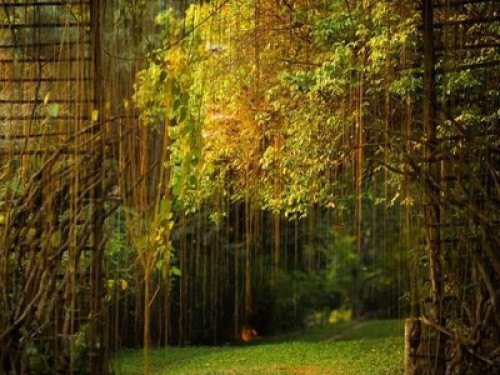 Aum Hum Homestay and Organic Farm - Gallery - 26