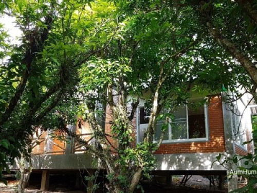 Aum Hum Homestay and Organic Farm - Gallery - 7