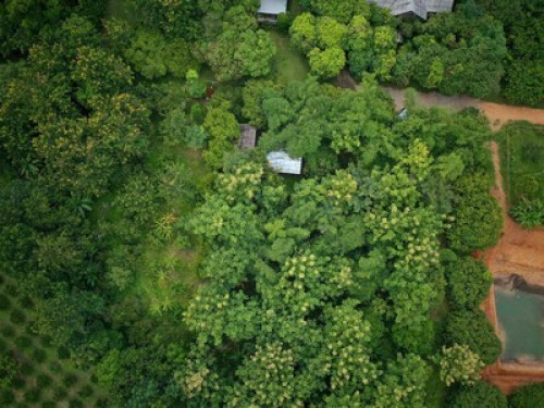 Aum Hum Homestay and Organic Farm - Gallery - 14