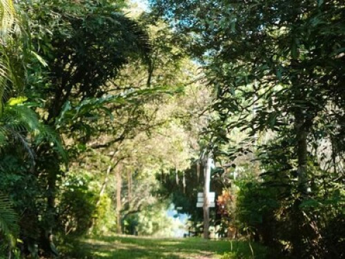 Aum Hum Homestay and Organic Farm - Gallery - 15