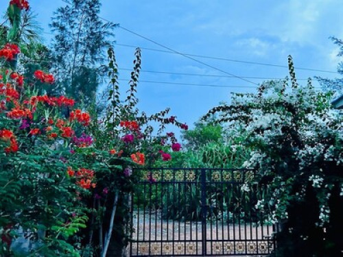 Mishra Greens & Farmhouse - Gallery - 13