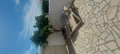 Casa Lucey - Gallery - 4