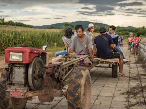 Baan Tha Khan Tong Homestay - Gallery - 12