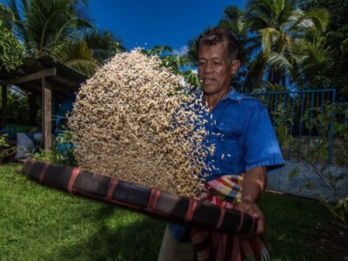 Baan Tha Khan Tong Homestay - Gallery - 14