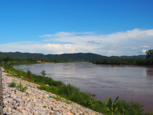 Baan Tha Khan Tong Homestay - Gallery - 18