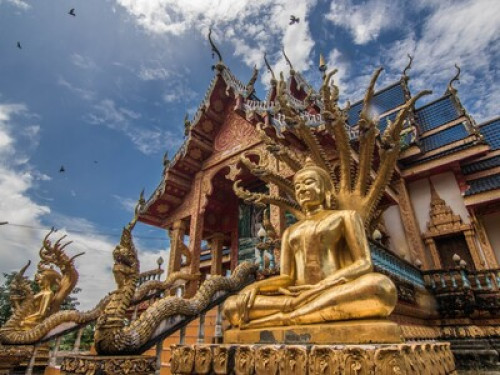Baan Tha Khan Tong Homestay - Gallery - 10
