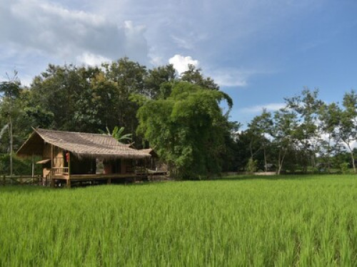 Be hosted in our stylish Thai stay - Gallery - 5