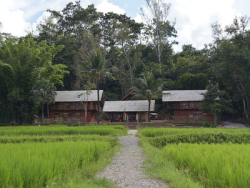 Be hosted in our stylish Thai stay