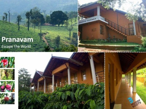 Share a living with South Indian Fa - Gallery - 7