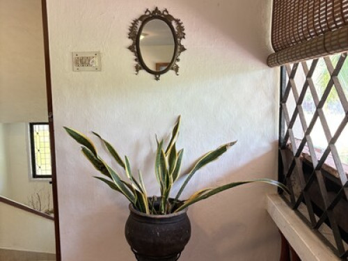 farm - Gallery - 10