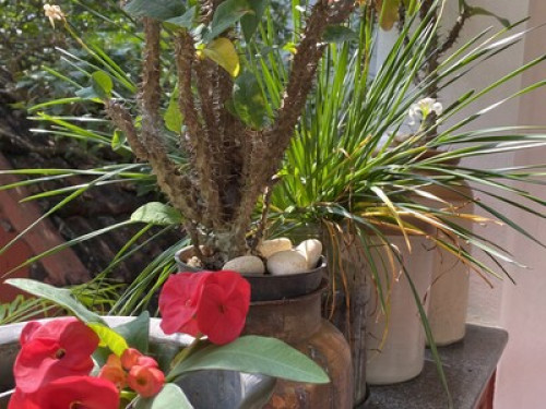 farm - Gallery - 20