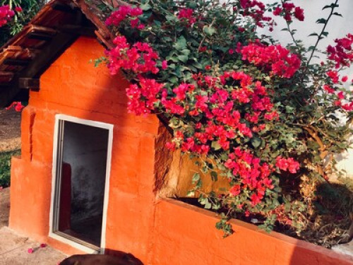farm - Gallery - 21