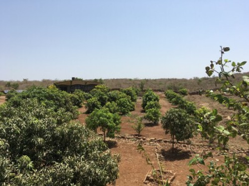 ARANYA-ECOFARM HOME STAY - Gallery - 3