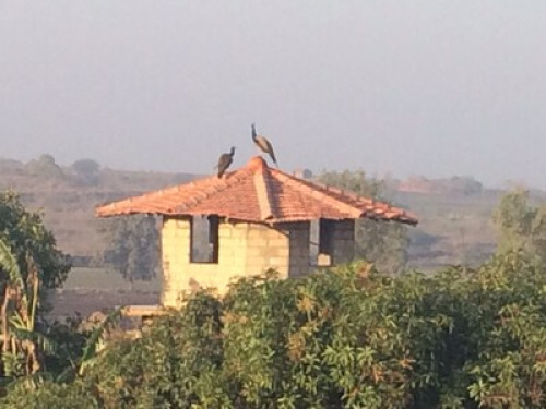 ARANYA-ECOFARM HOME STAY - Gallery - 16