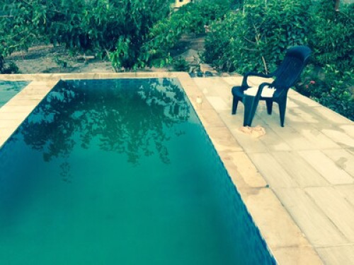 ARANYA-ECOFARM HOME STAY - Gallery - 9