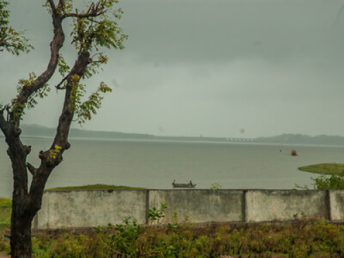 Riverside Homestay near Lion Safari - Gallery - 2