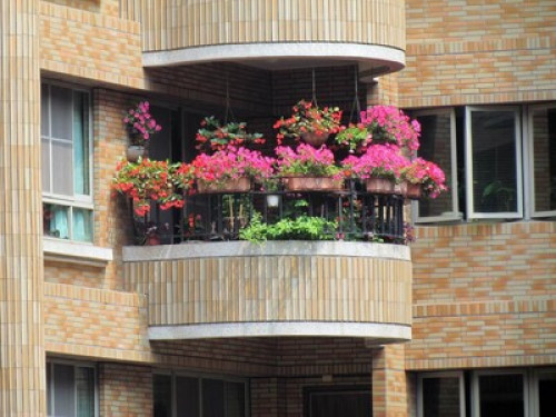  A Comfortable Home in a Happy City - Gallery - 6
