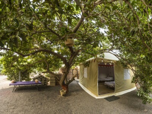 Experiential stay in Kutch - Gallery - 2